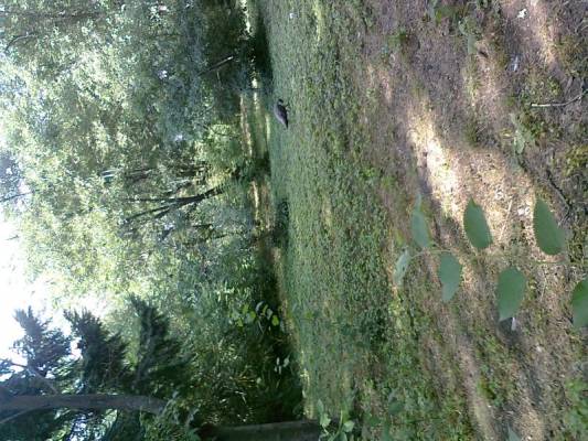 � ��������� ��������� 