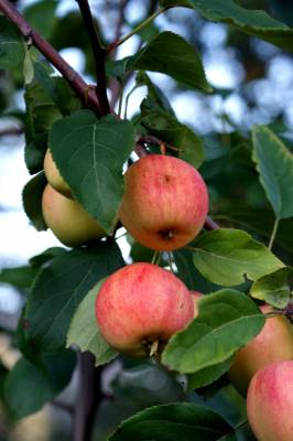 �������