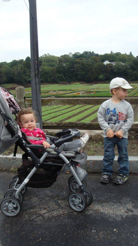 �������� ����� � ���������� ��������, ���� ��, �������� ������� ������