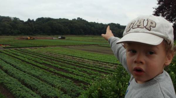 �������, ��� �������� �� �����