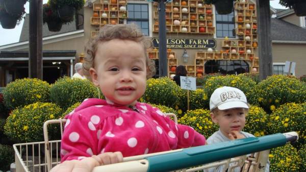 ��������� ����� � �������, ���������������� ��������� ����������