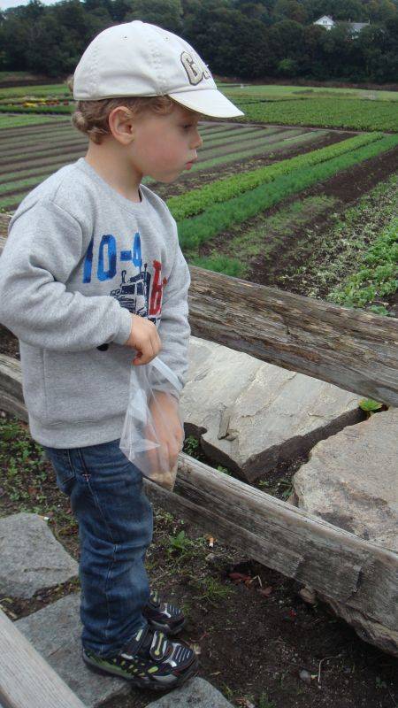 ������� �� ���� �����