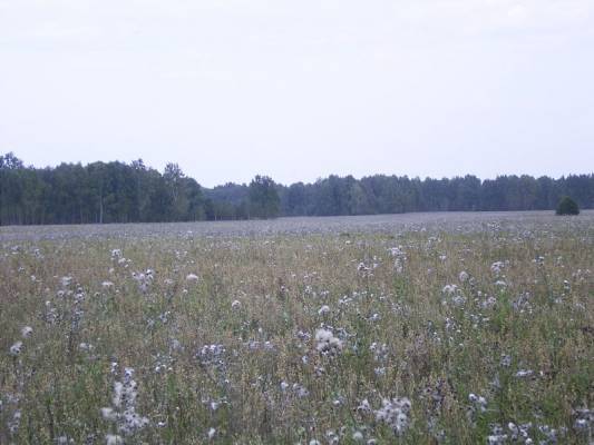 ������ ���