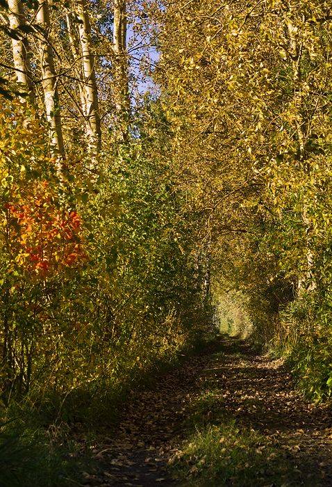 ������ � �����.