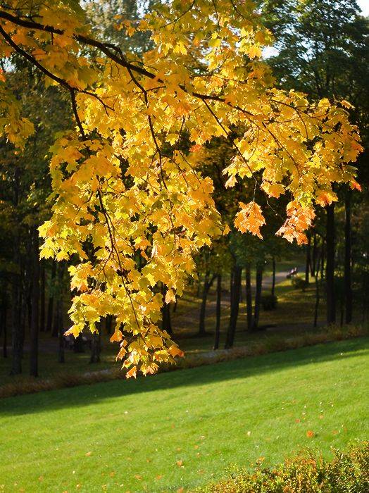 � �����.