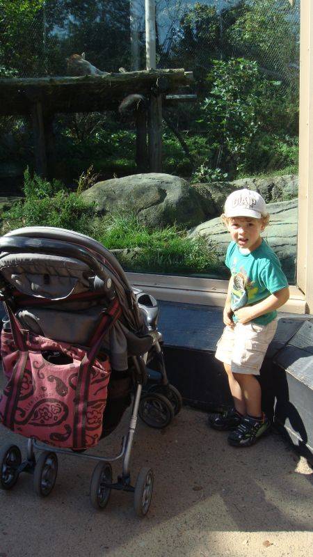 ��� ������� �� ��������� ���:)