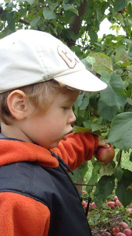 �������� ������