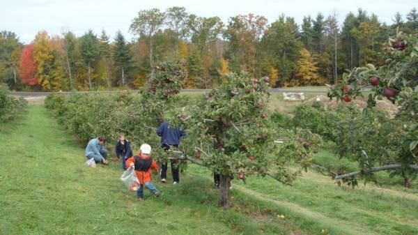 ������� ��� ������ (�� �������)