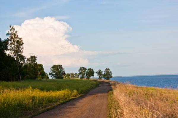 ������ ����:)