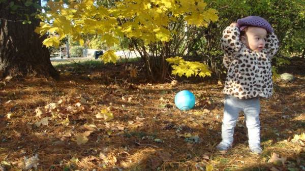 �������� ����� ������