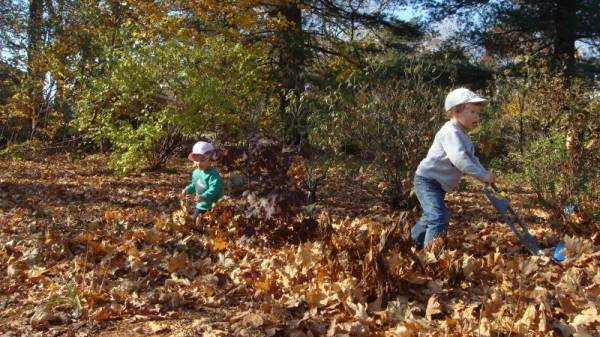 ������ ����� �����:)