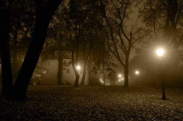 �������