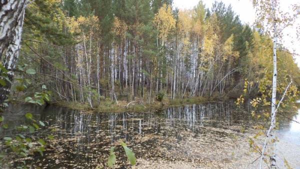 � ����� ���,����� � ����������! 3-�, 4-� - ������ � �����������