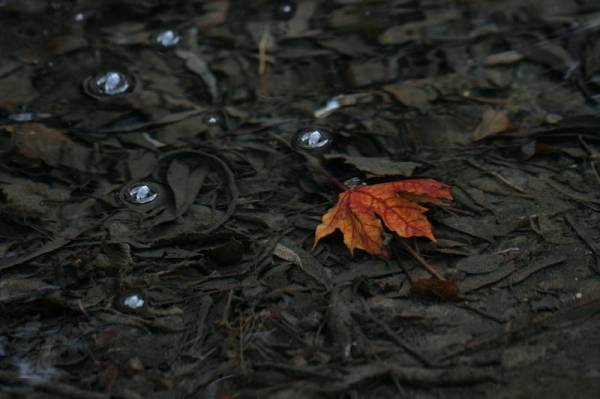 Ƹ���� ���� �������...