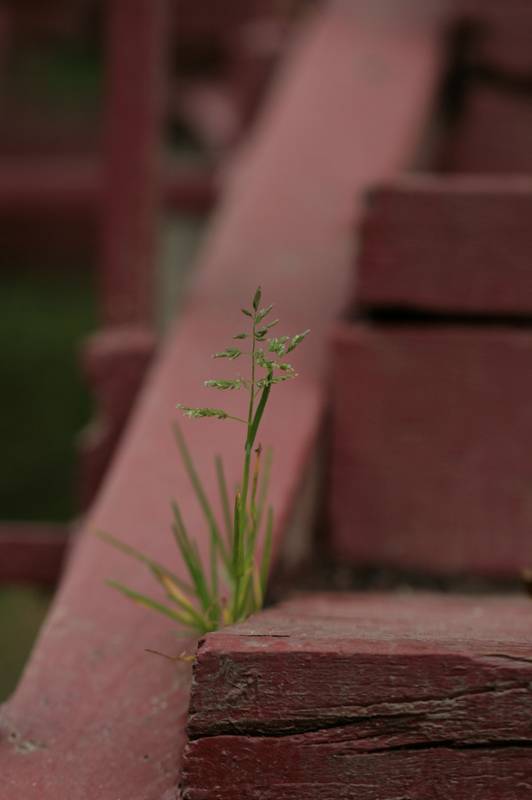 ����� �����