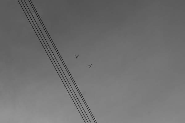 ������ �������