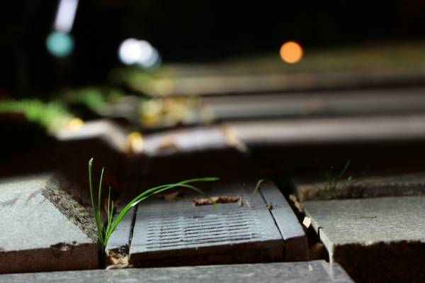 ����� ����� 2