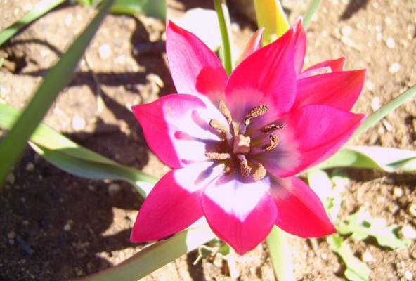 ����������