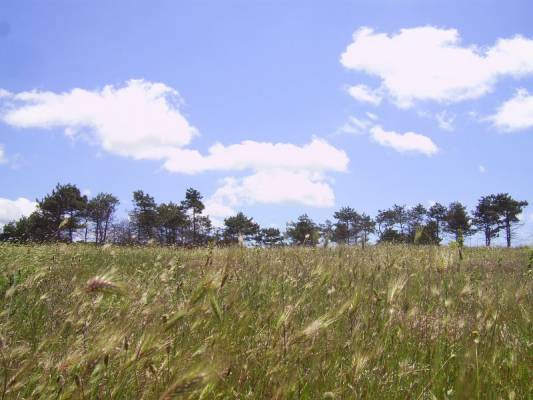 ����� � ������