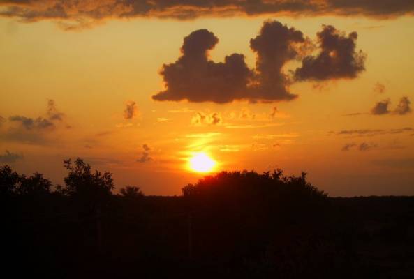 ������ �������