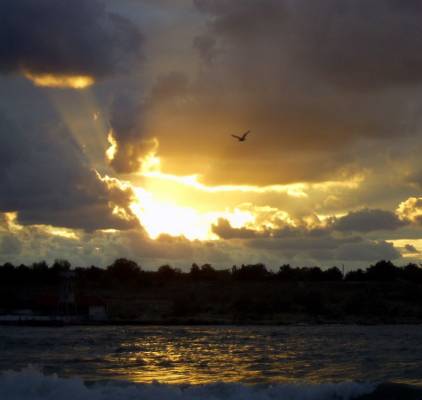 ����� ��� �����