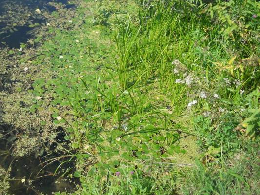 �����-������