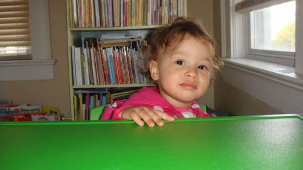 ������ 2011