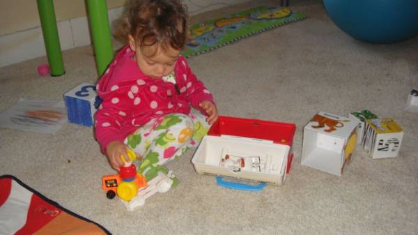 ������ 2011