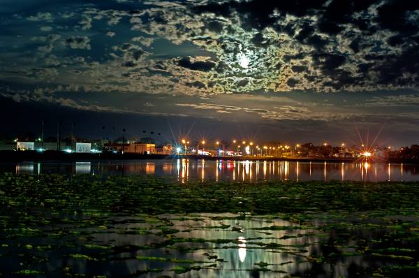 �������� ����