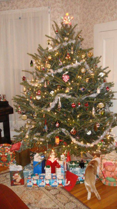 ���������. 12/24/11