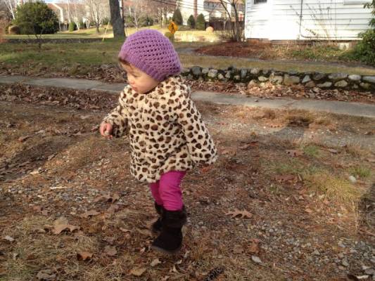 � ��������