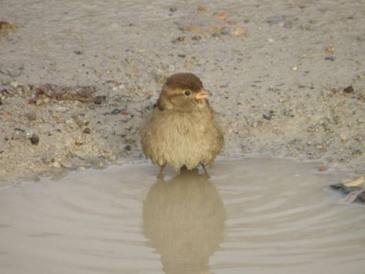 ��! ���������!