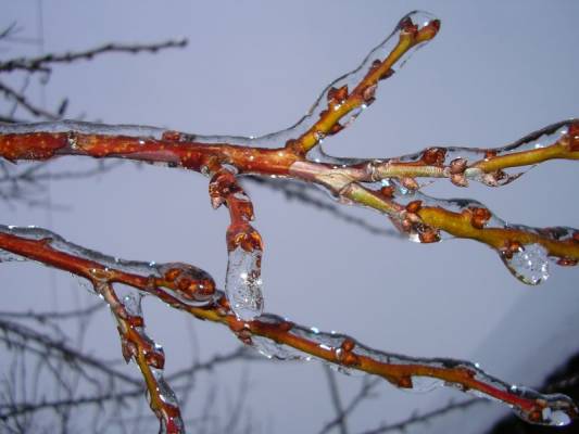 ���������� ����� ���