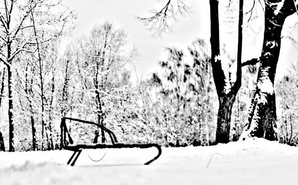 ������ ������