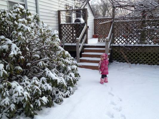 � � ��������� �����