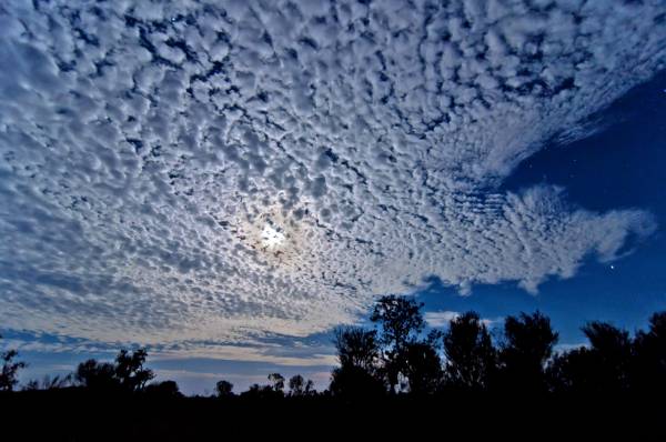 ������� ����