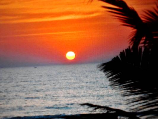 ������� ������