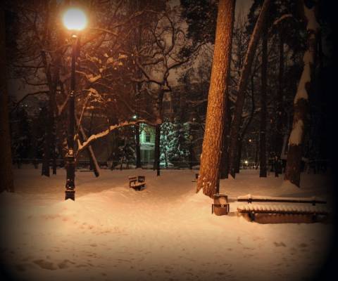 ������ ����