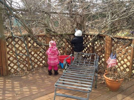 ������ �������: �����:))