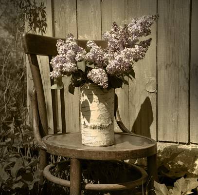 ������ ���������