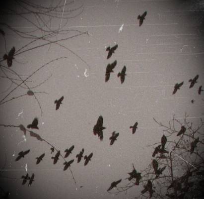 ������ �����