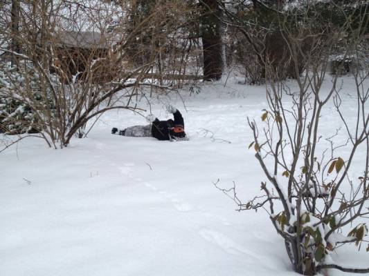 �������� �� ������� ������ �� �����:)