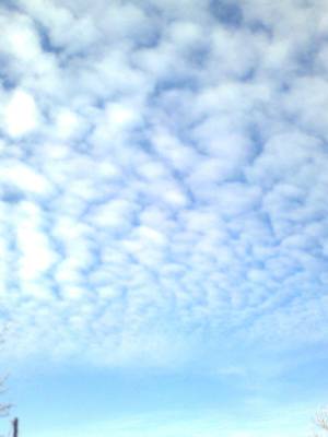 ����������� ����