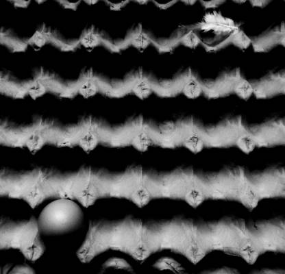 ������ ��� ����?