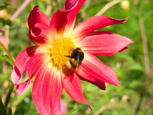 �������� �����