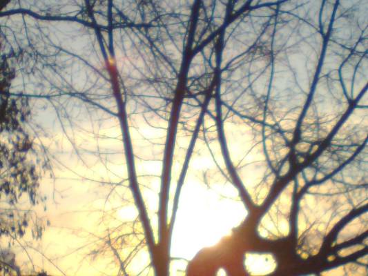 ���� � ����� ������