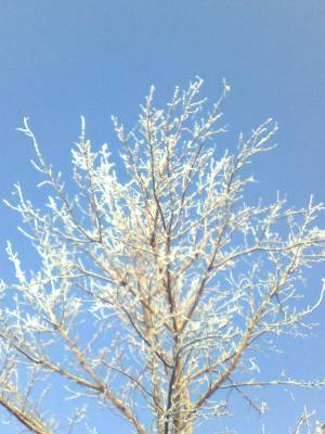 ��������� �������