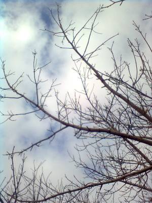 ���������� ���