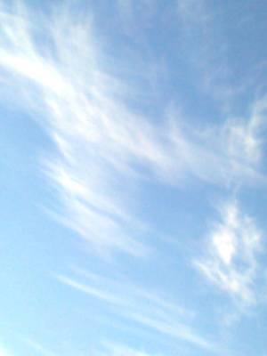 ������� ����