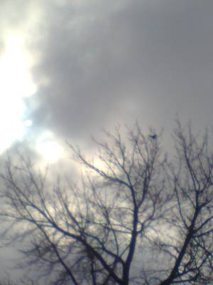 �������� �������(